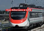 El tren al AIFA despega como transporte vecinal, no aeroportuario: Una alternativa para movilidad y conectividad