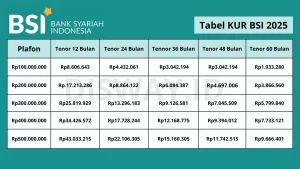 Estimasi Cicilan KUR BSI 2026: Pinjaman Rp300 Juta untuk UMKM, Ini Rinciannya!