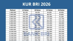 KUR BRI 2026: Pilihan Terbaik untuk UMKM dengan Angsuran Ringan dan Bunga Kompetitif
