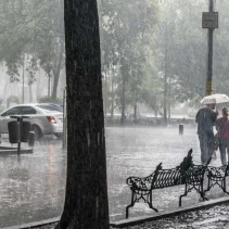 Lluvia y Clima: Un Enfoque en la Ciudad de México y el Mundo