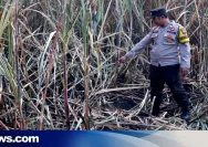 Petani di Wedarijaksa Meninggal Saat Bakar Sisa Daun Tebu di Persawahan: Masyarakat Dianjurkan Berhati-Hati