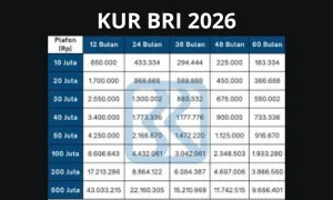 Simulasi Angsuran KUR BRI 2026: Hitung Cicilan Pinjaman Rp 25 Juta dengan Mudah!