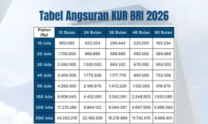 Simulasi Angsuran KUR BRI 2026: Pilihan Terbaik untuk Modal Usaha Anda