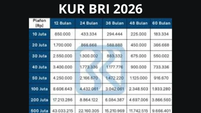 Tabel KUR BRI 2026: Pilihan Pembiayaan 12 hingga 60 Bulan untuk Usaha Anda